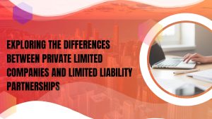 Exploring the Differences Between Private Limited Companies and Limited Liability Partnerships